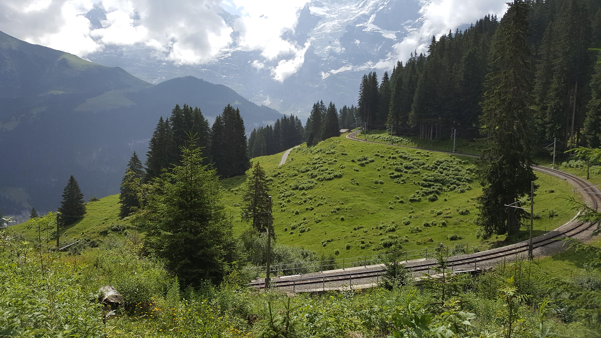 Swiss Alps Reference Photo